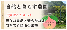 自然と暮らす農園