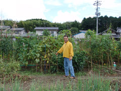 大豊作の畑です