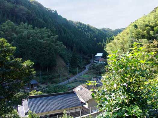 山から集落方向を見下ろす