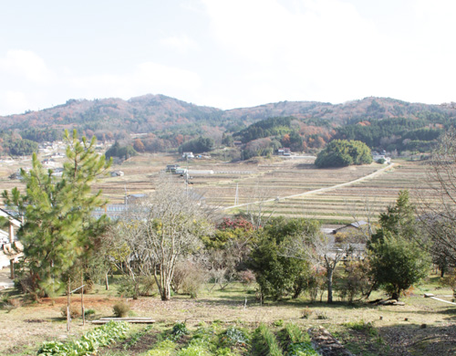 庭からみる景色