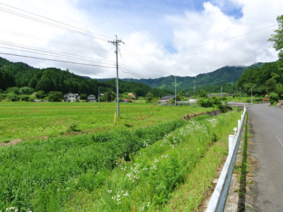 手入れの行き届いた田んぼが広がる