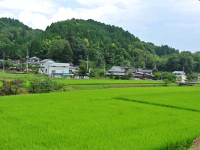 縁側から望む風景