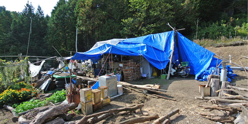 ブルーシートの家で愛猫たちと自給自足的な生活 山暮らし体験レポート 岡山の田舎暮らしをサポート 自然と暮らす株式会社