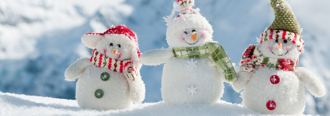 古民家から中古住宅、自由気ままに大自然を満喫する山林物件など、田舎暮らしの夢をトータルにサポートいたします