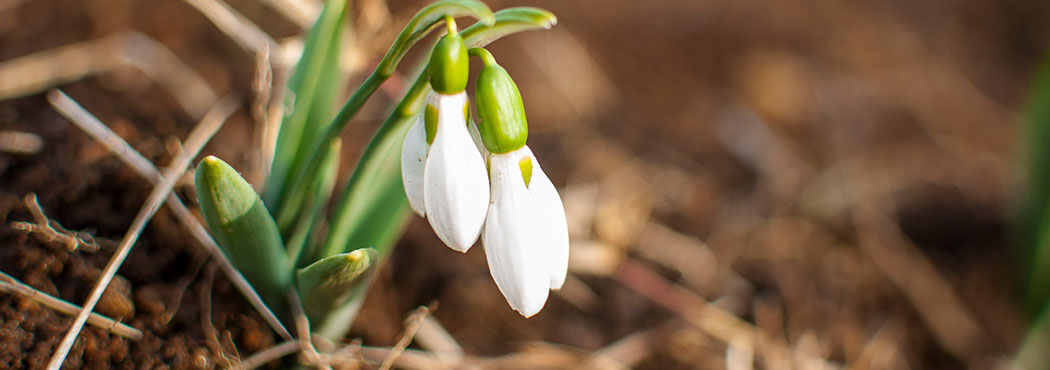 古民家から中古住宅、自由気ままに大自然を満喫する山林物件など、田舎暮らしの夢をトータルにサポートいたします