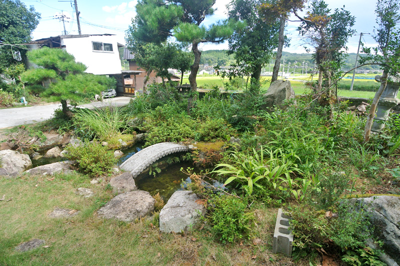 池付きの日本庭園