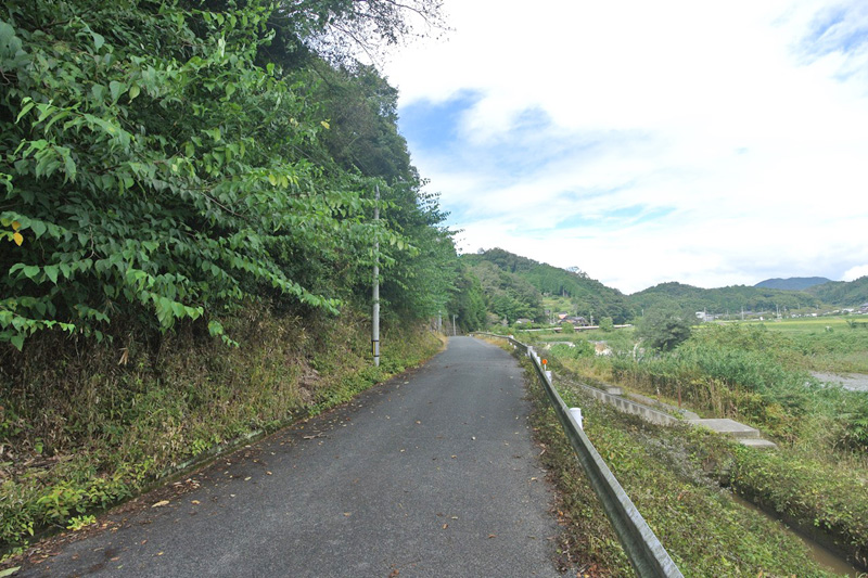接面道路