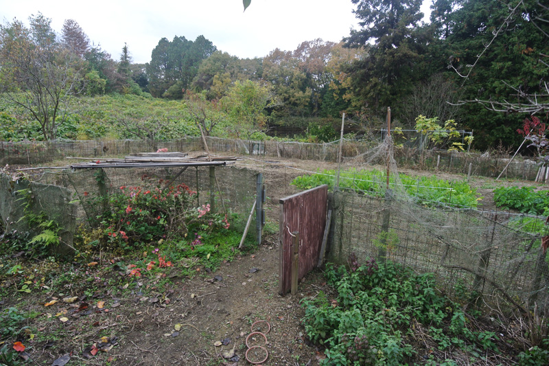 防獣フェンス付きの畑