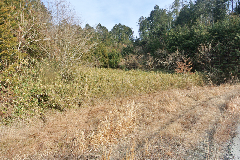 徒歩圏内にある、池に隣接した原野(約372坪)