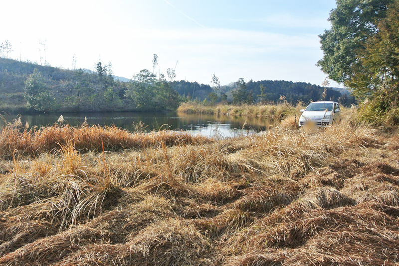 徒歩圏内にある、池に隣接した原野(別角度)