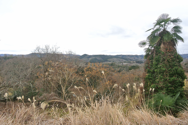 母屋1階:縁側からの眺め