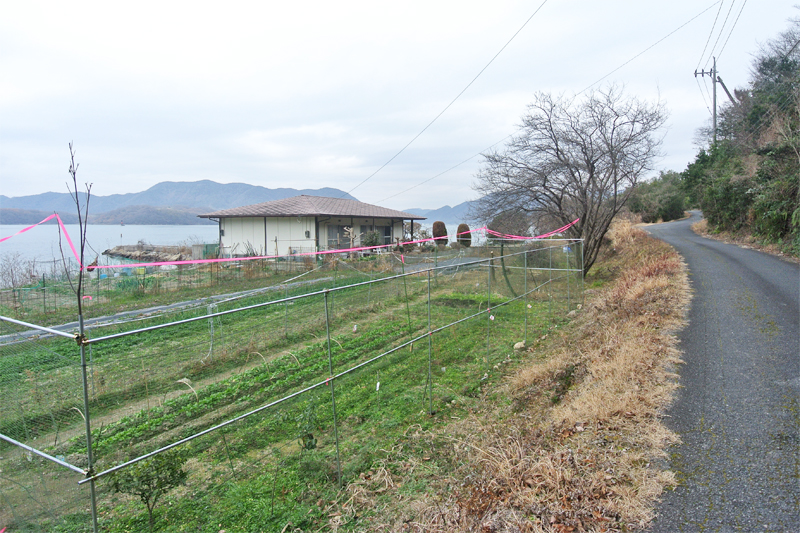瀬戸内海を望む、徒歩圏内にある付属農地