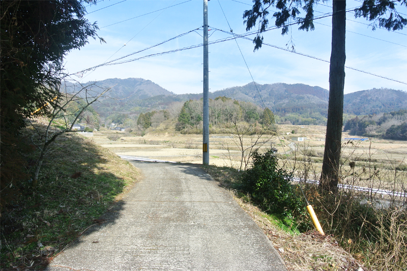 接面道路と周辺環境