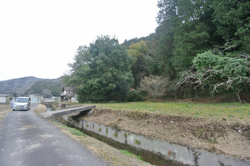 地続き土地(右)と接面道路(左)
